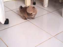 20160726_092419