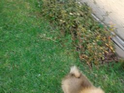 20170418_125633