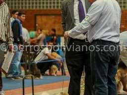 Exposiciones